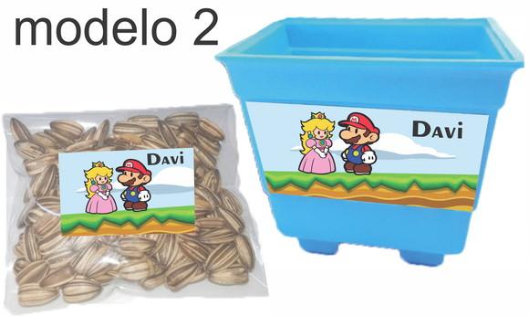 Kit Vaso e Semente-mario Bros