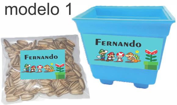 Kit Vaso e Semente-mario Bros