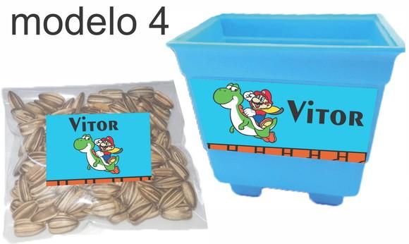 Kit Vaso e Semente-mario Bros