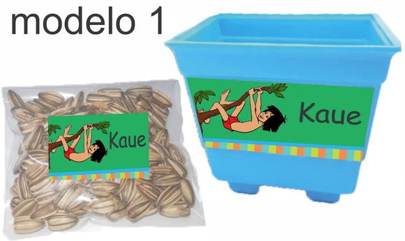 Kit Vaso e Semente-mogli