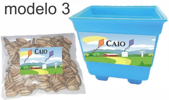 Kit Vaso e Semente-pipa e Catavento