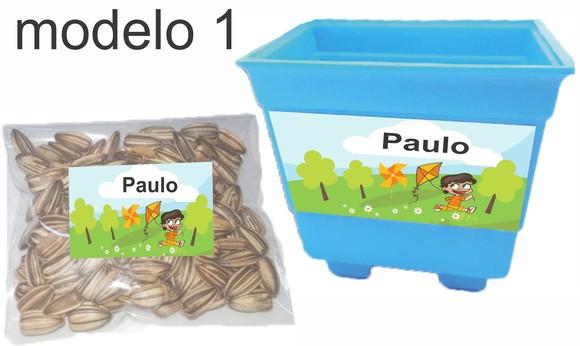 Kit Vaso e Semente-pipa e Catavento