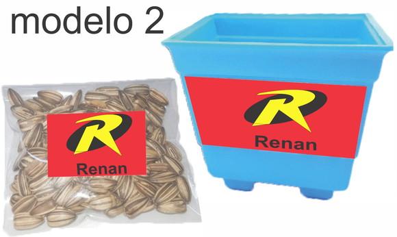 Kit Vaso e Semente-robin
