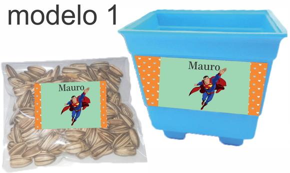 Kit Vaso e Semente-super Homem