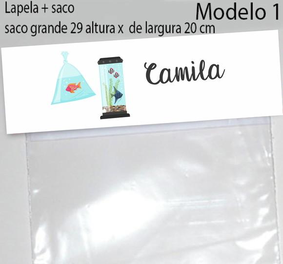 Lapela e Saco Grande-aquário