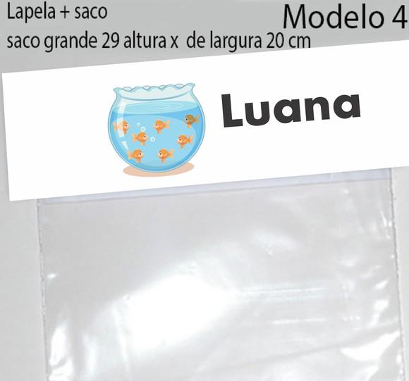 Lapela e Saco Grande-aquário