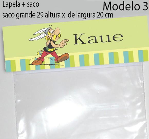 Lapela e Saco Grande-asterix