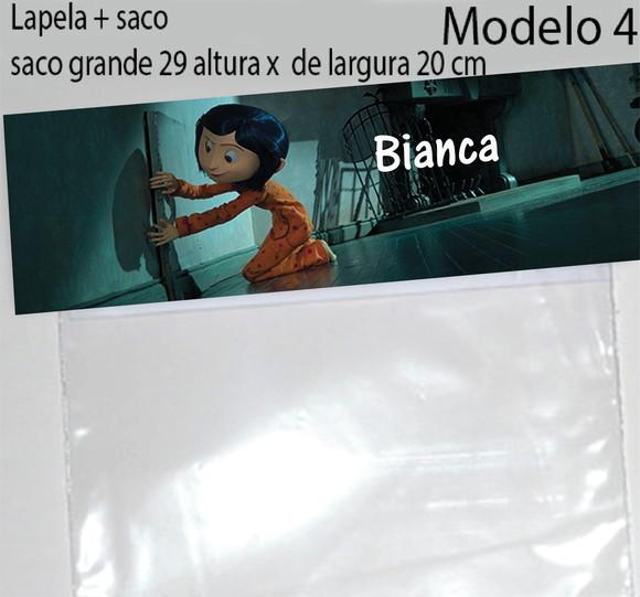 Lapela e Saco Grande-caroline e o Mundo Secreto