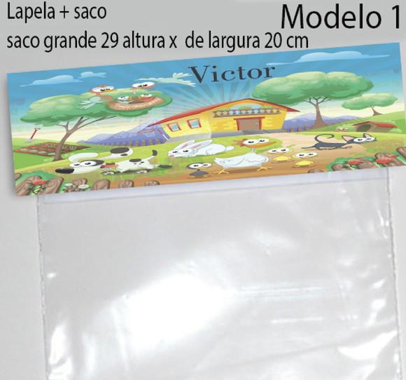 Lapela e Saco Grande-fazendinha