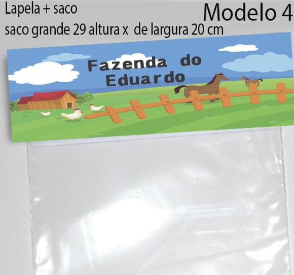 Lapela e Saco Grande-fazendinha