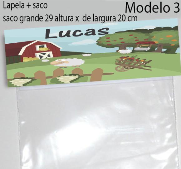 Lapela e Saco Grande-fazendinha