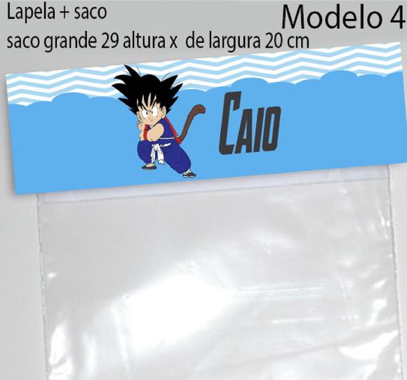 Lapela e Saco Grande-goku