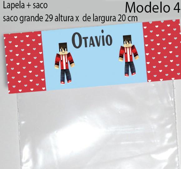Lapela e Saco Grande-minecraft
