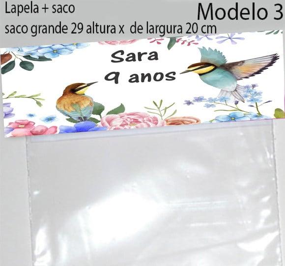 Lapela e Saco Grande-pássaros
