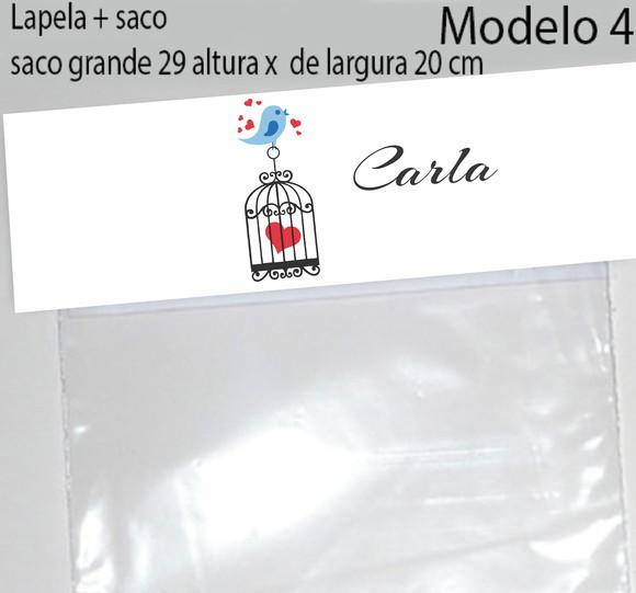 Lapela e Saco Grande-pássaros