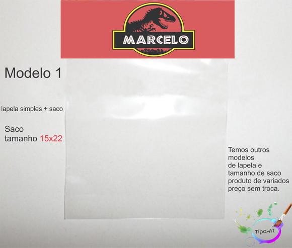 Lapela(simples) e Saco 15x22-dinossauros