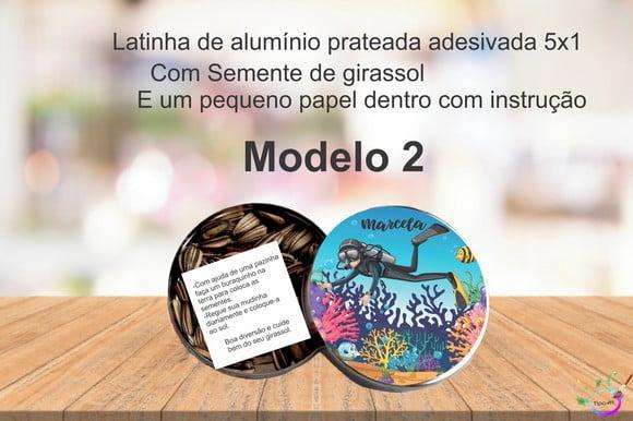 Latinha Semente Girassol-aquário