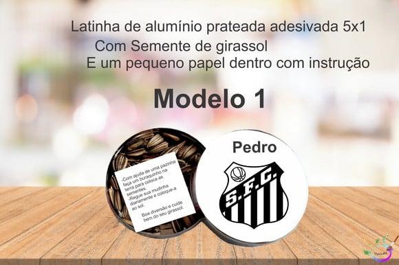 Latinha Semente Girassol-peixe