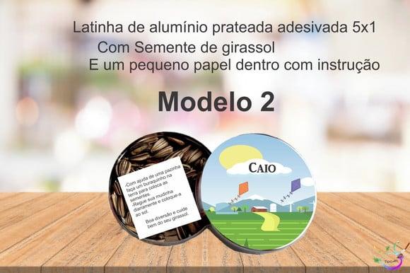 Latinha Semente Girassol-pipa e Catavento