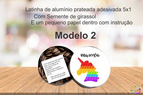 Latinha Semente Girassol-pop Fidget