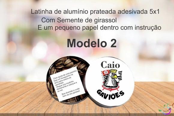 Latinha Semente Girassol-timão