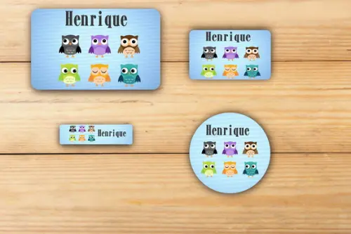 Adesivos Escolar -coruja-mod 3