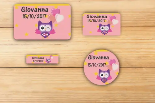 Adesivos Escolar -coruja-mod 4
