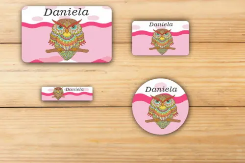 Adesivos Escolar -coruja-mod 2