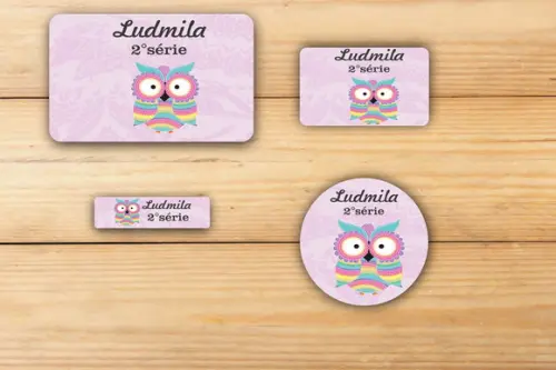 Adesivos Escolar -coruja-mod 1