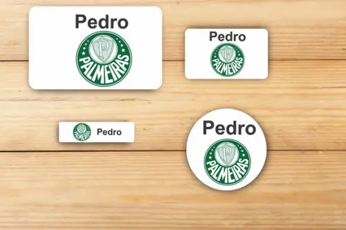 Adesivos Escolar -verdão Mod 1
