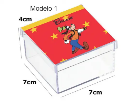 Caixa Acrilica 7x7x4- Pateta