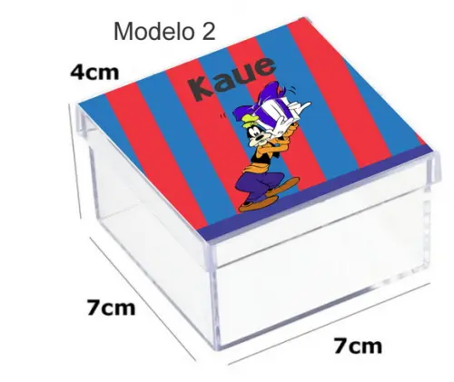 Caixa Acrilica 7x7x4- Pateta