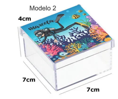 Caixa Acrilica 7x7x4-aquário