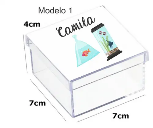 Caixa Acrilica 7x7x4-aquário