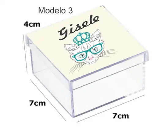 Caixa Acrilica 7x7x4-gatinho