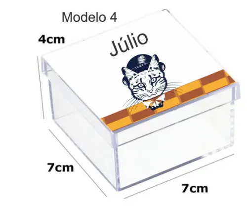 Caixa Acrilica 7x7x4-gatinho