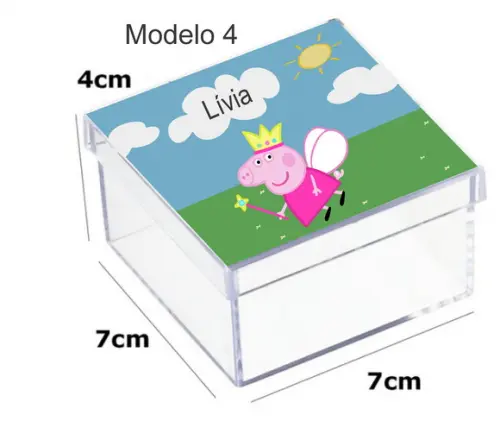 Caixa Acrilica 7x7x4-porco
