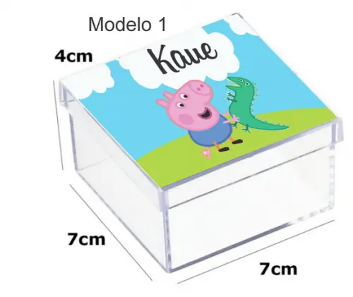 Caixa Acrilica 7x7x4-porco