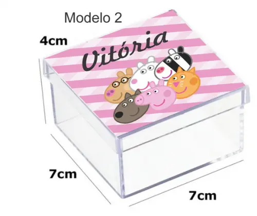 Caixa Acrilica 7x7x4-porco