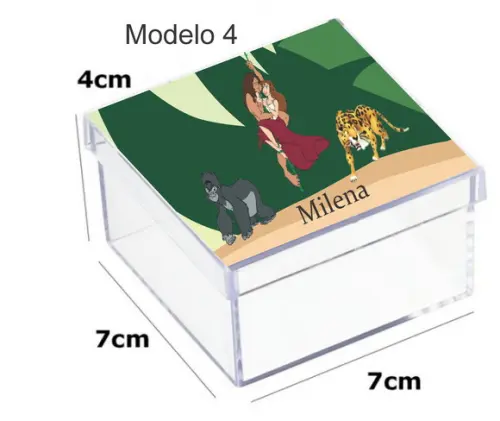 Caixa Acrilica 7x7x4-tarzan