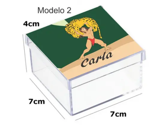 Caixa Acrilica 7x7x4-tarzan