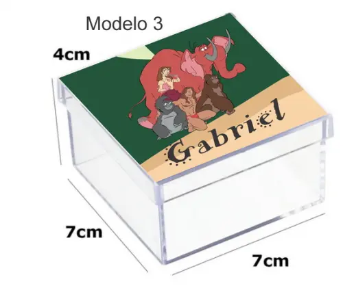 Caixa Acrilica 7x7x4-tarzan