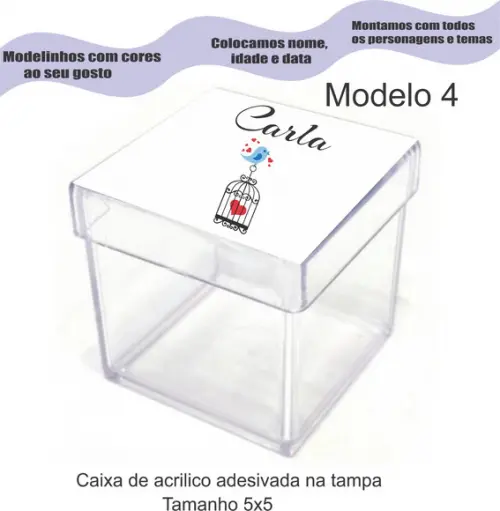 Caixa de Acrílico-pássaros