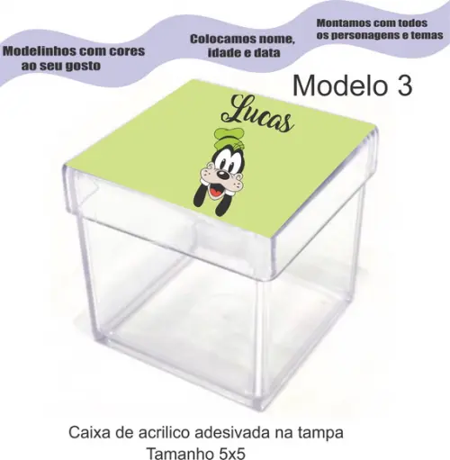 Caixa de Acrílico-pateta