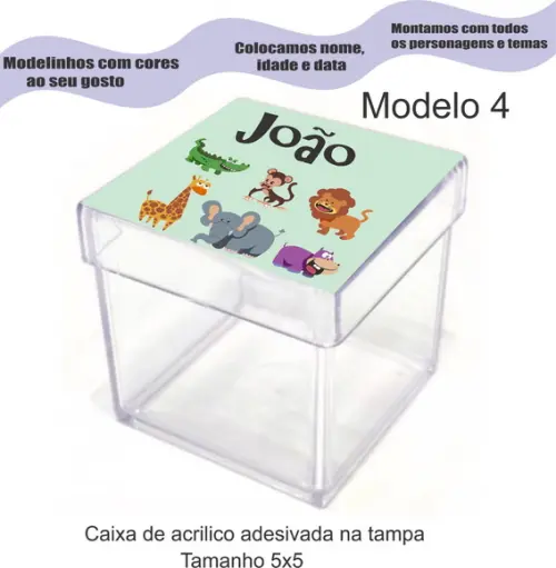 Caixa de Acrílico-safari
