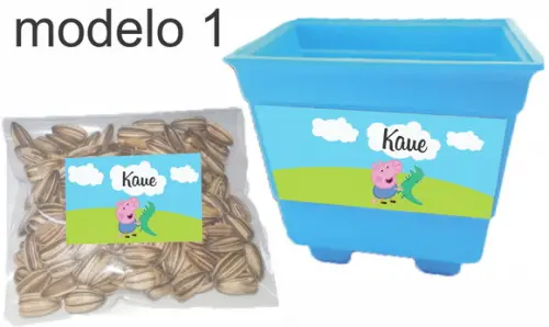 Kit Vaso e Semente