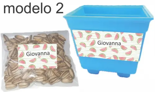 Kit Vaso e Semente Girassol