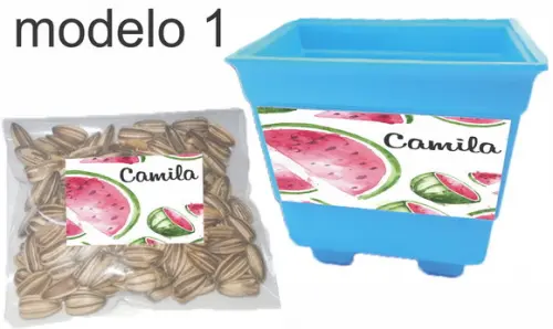 Kit Vaso e Semente Girassol