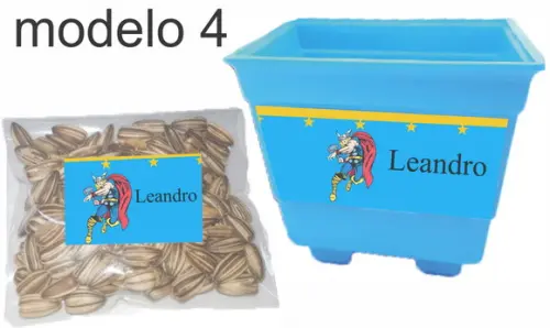 Kit Vaso e Semente- Thor