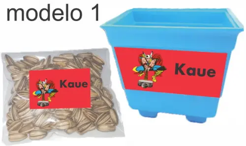 Kit Vaso e Semente- Thor